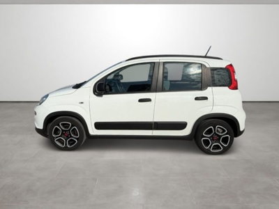 Fiat Panda 1.0 firefly hybrid s&s 70cv (7)