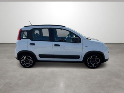 Fiat Panda 1.0 firefly hybrid s&s 70cv (8)