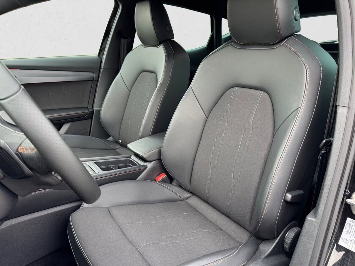 Cupra Formentor Formentor 2.0 TDI (11)