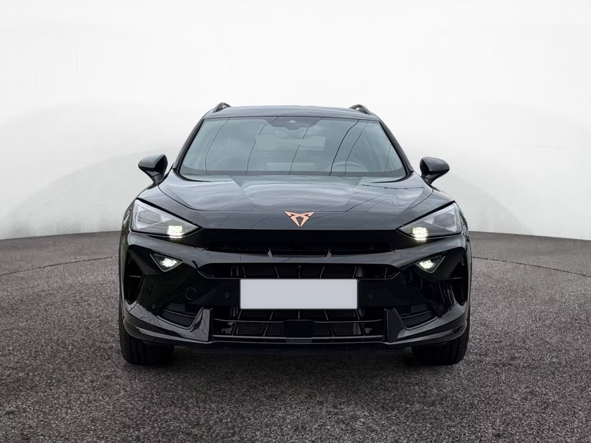 Cupra Formentor Formentor 2.0 TDI (3)