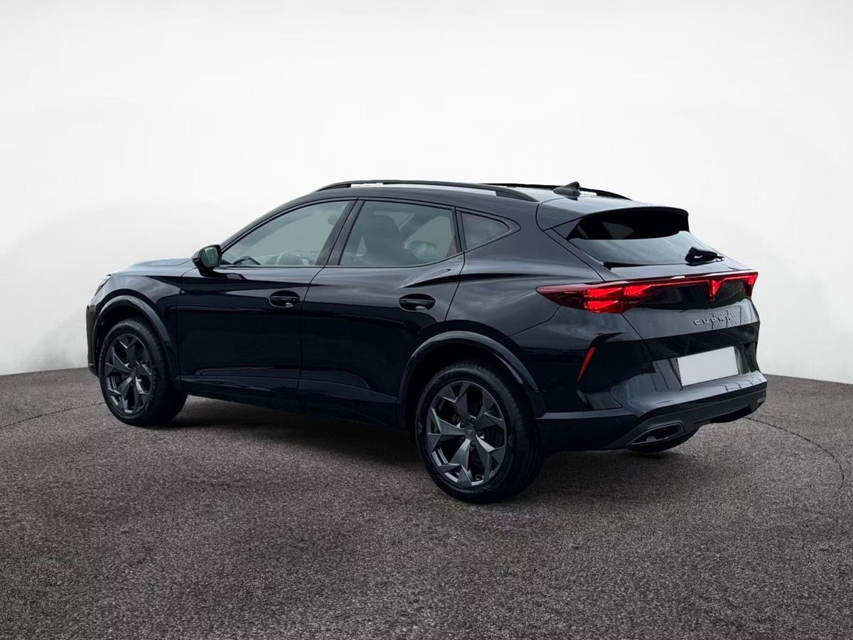 Cupra Formentor Formentor 2.0 TDI (5)