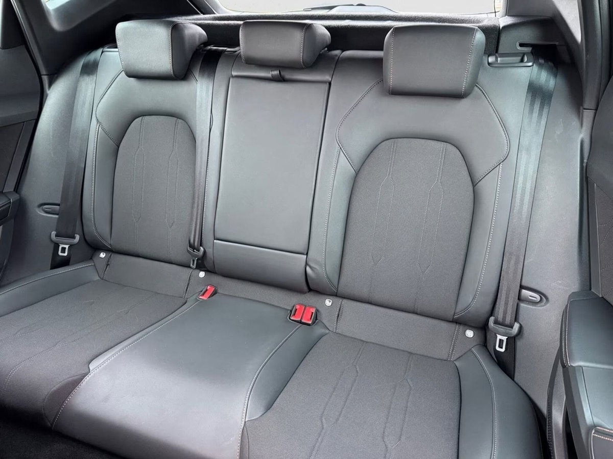 Cupra Formentor Formentor 2.0 TDI (9)