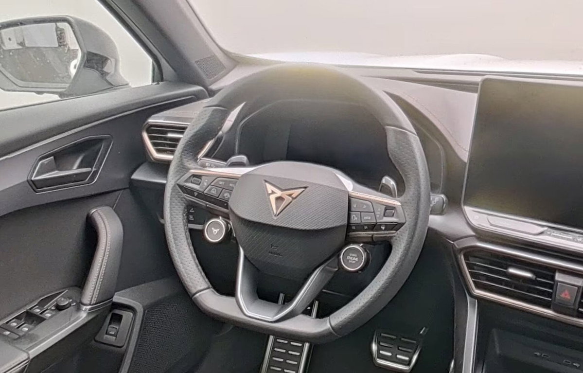 Cupra Formentor Formentor 2.0 TDI (12)