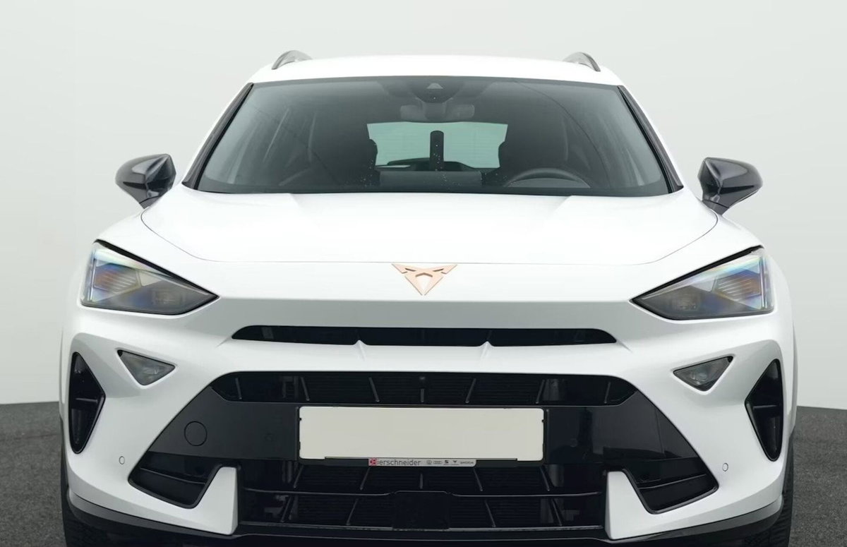 Cupra Formentor Formentor 2.0 TDI (6)