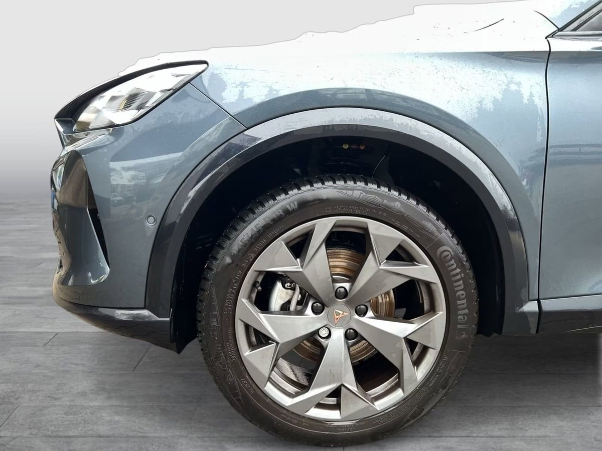 Cupra Formentor Formentor 2.0 TDI (17)