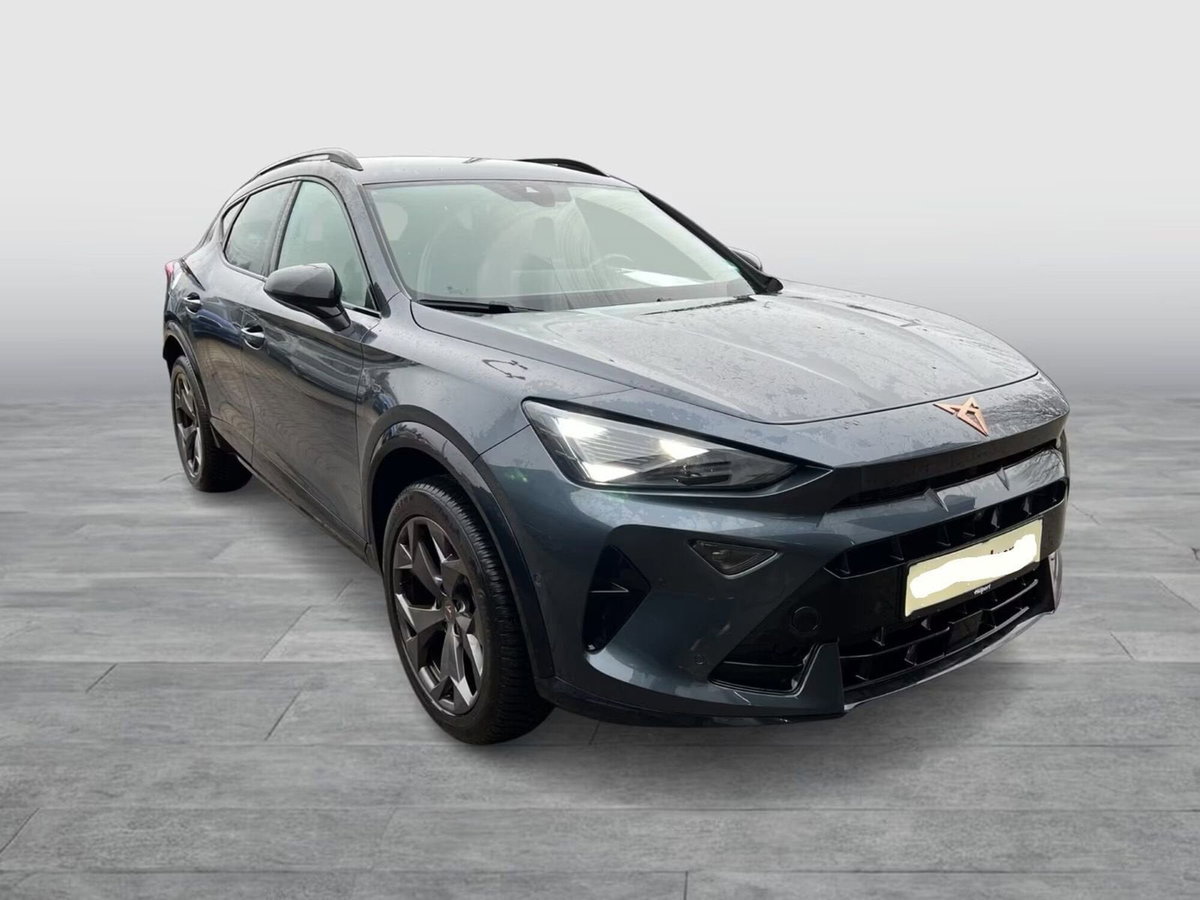Cupra Formentor Formentor 2.0 TDI (4)