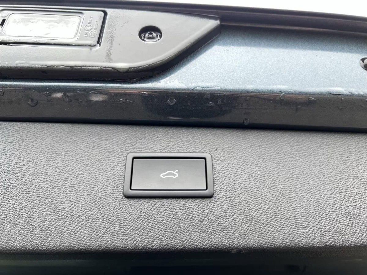 Cupra Formentor Formentor 2.0 TDI (9)