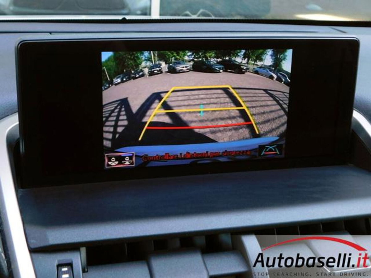 Lexus NX Hybrid 4WD Business (10)