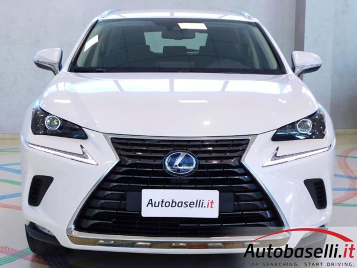 Lexus NX Hybrid 4WD Business (11)