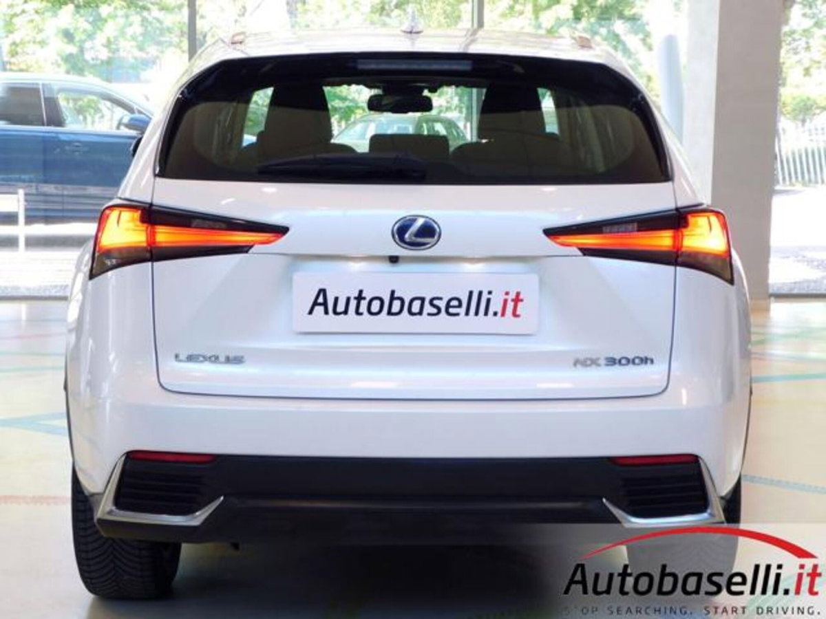 Lexus NX Hybrid 4WD Business (12)