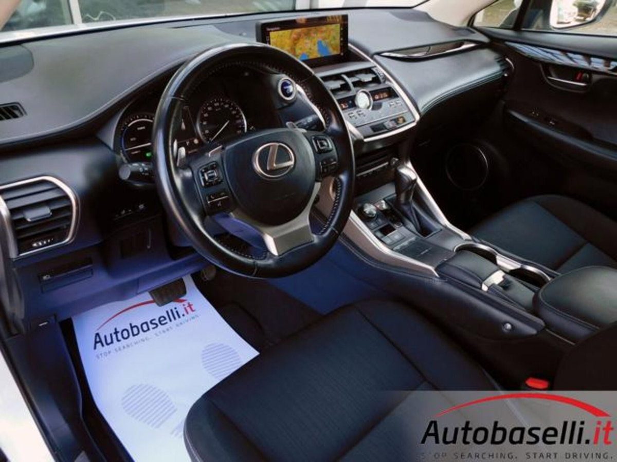 Lexus NX Hybrid 4WD Business (2)