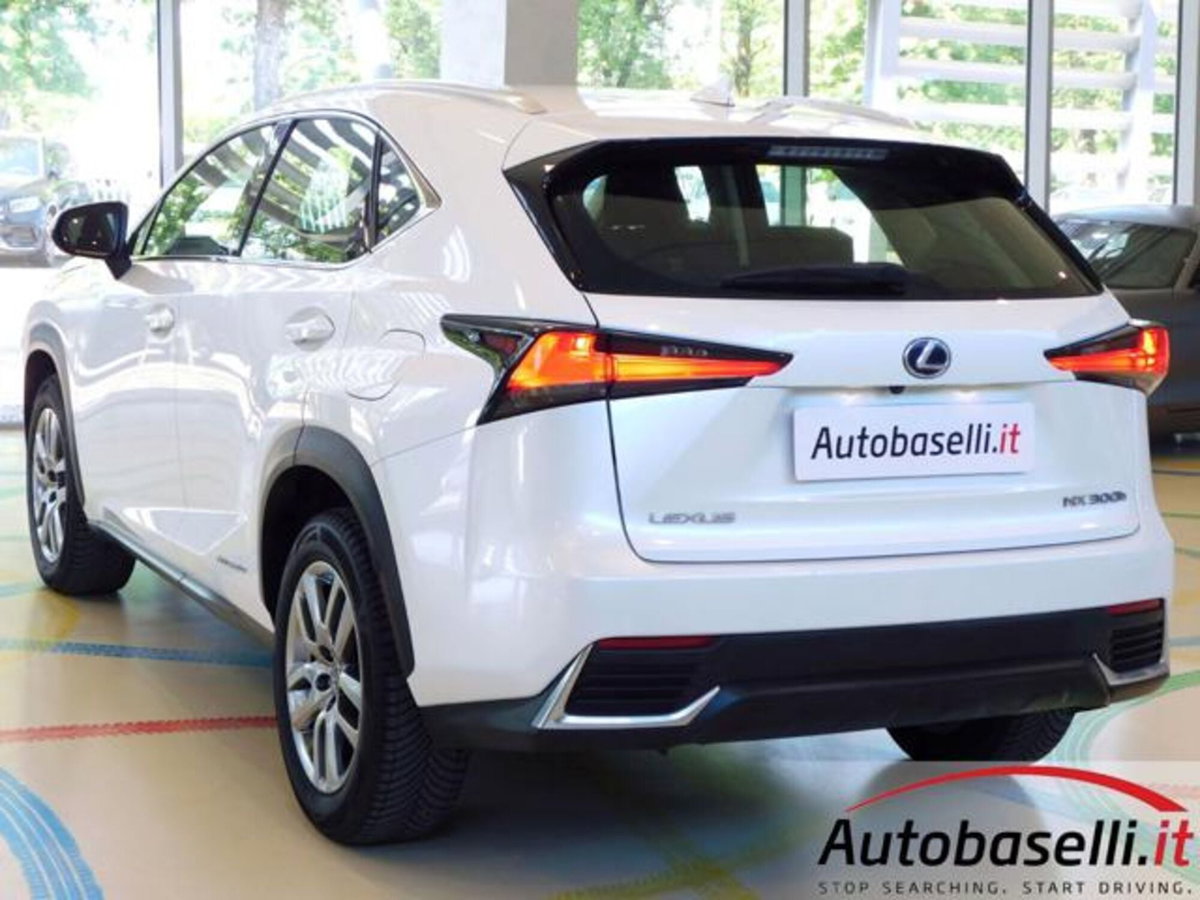 Lexus NX Hybrid 4WD Business (20)