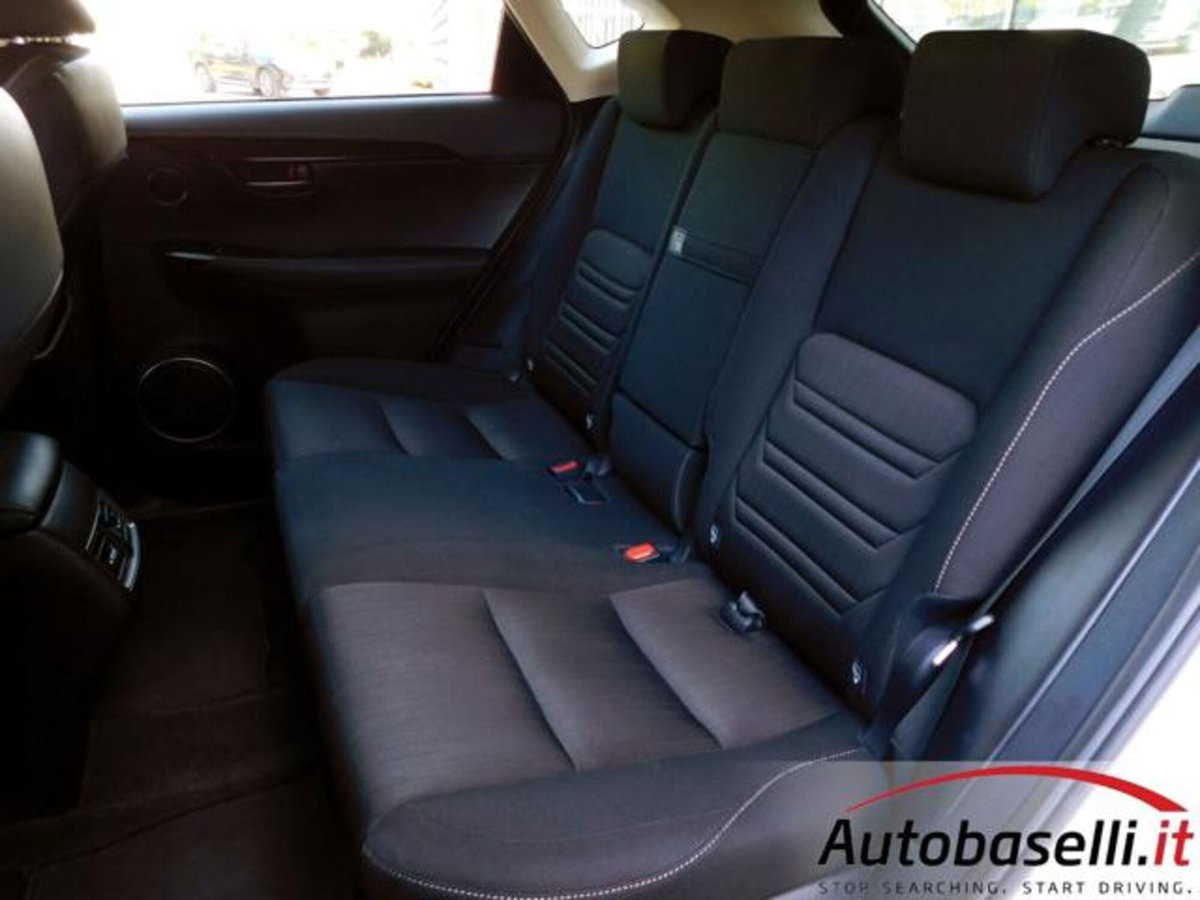 Lexus NX Hybrid 4WD Business (3)