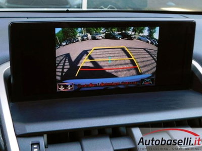 Lexus NX Hybrid 4WD Business (11)