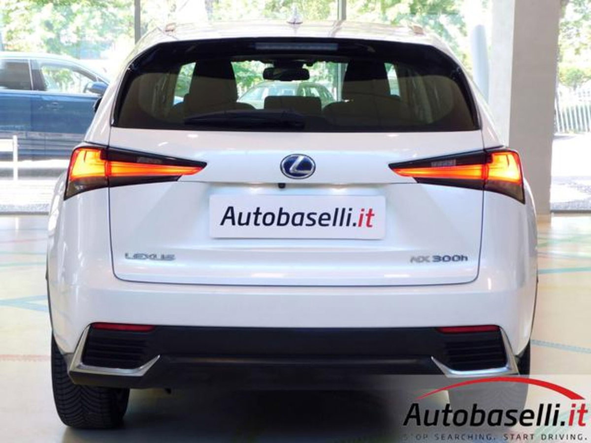 Lexus NX Hybrid 4WD Business (12)