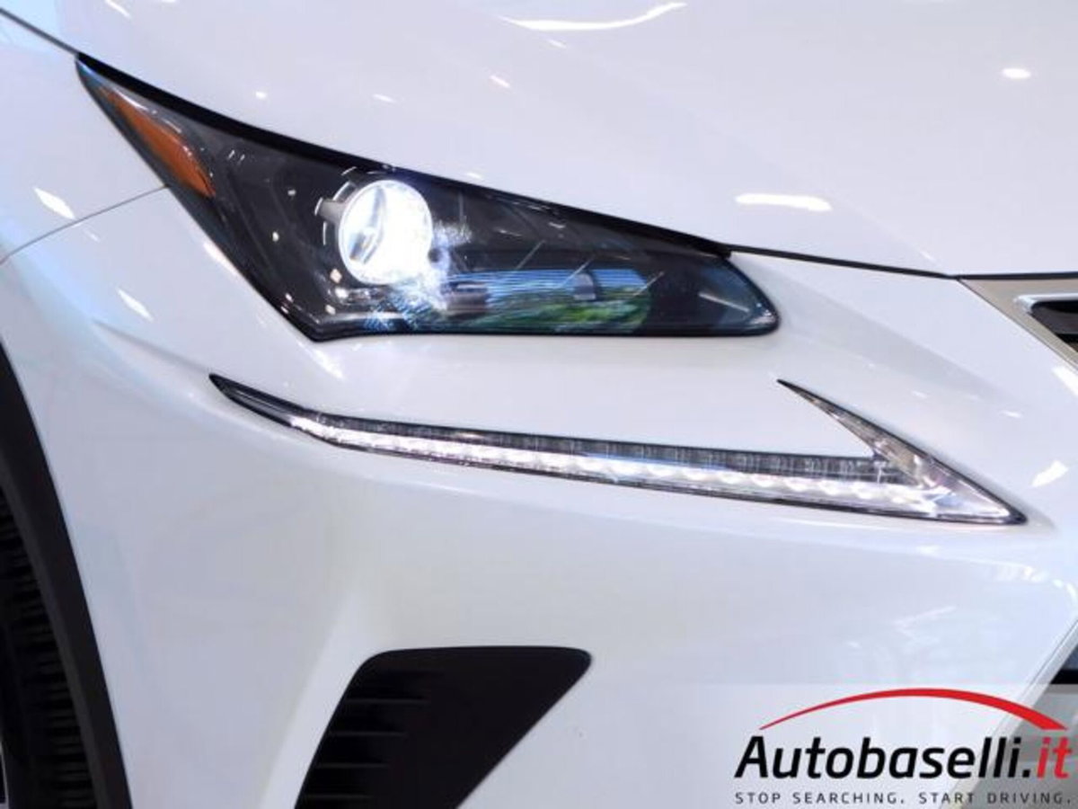 Lexus NX Hybrid 4WD Business (13)