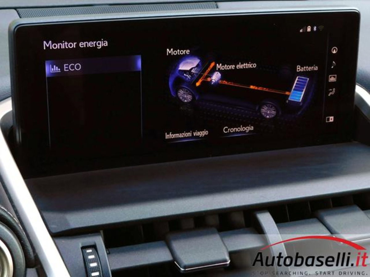 Lexus NX Hybrid 4WD Business (15)