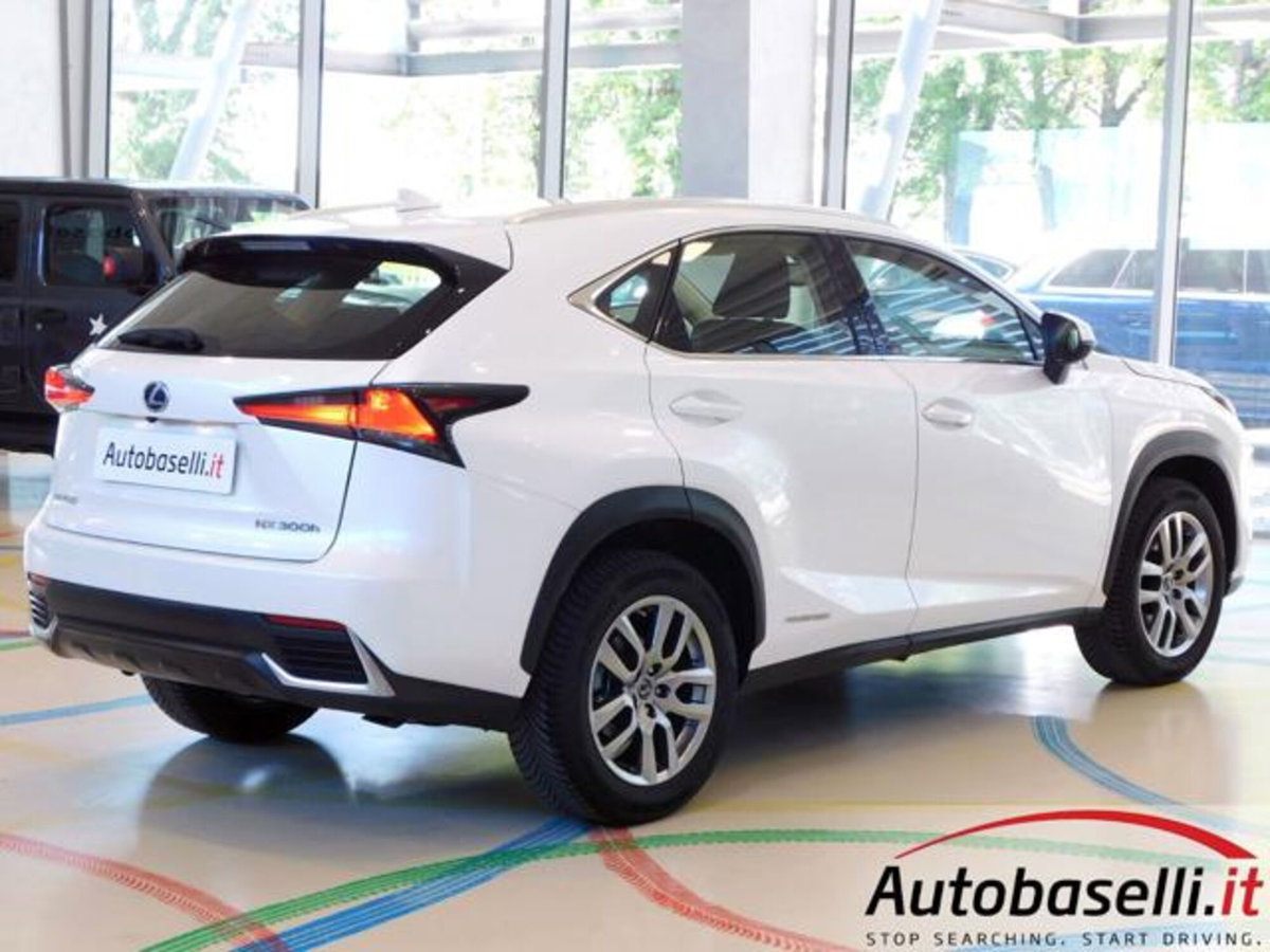 Lexus NX Hybrid 4WD Business (18)