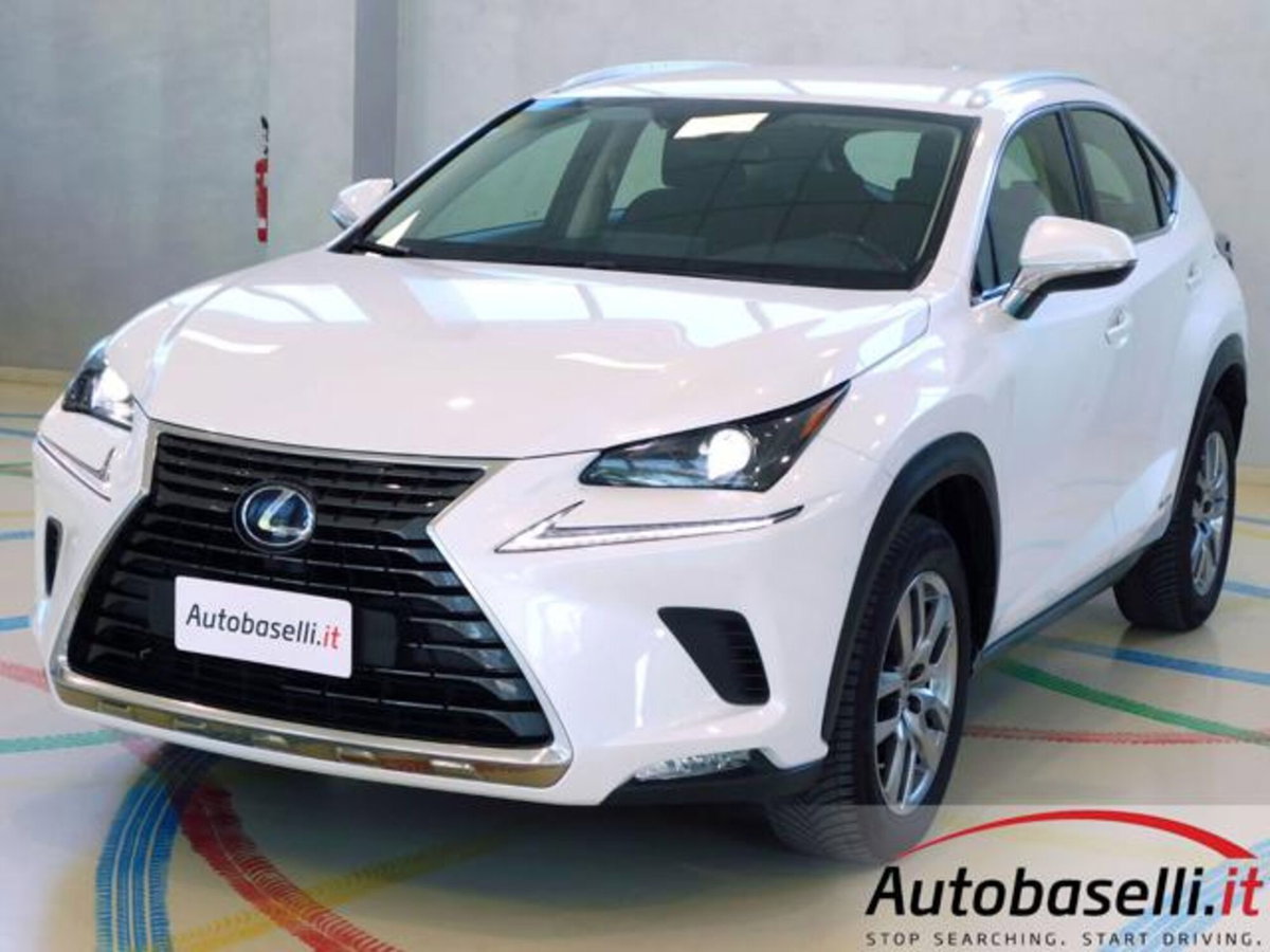 Lexus NX Hybrid 4WD Business (19)
