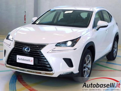 Lexus NX Hybrid 4WD Business (19)