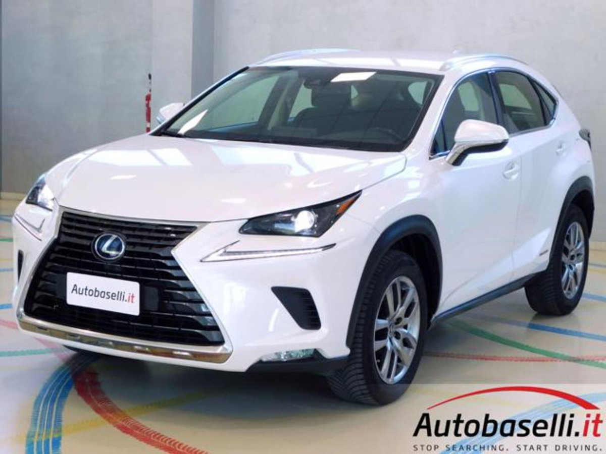Lexus NX Hybrid 4WD Business (2)