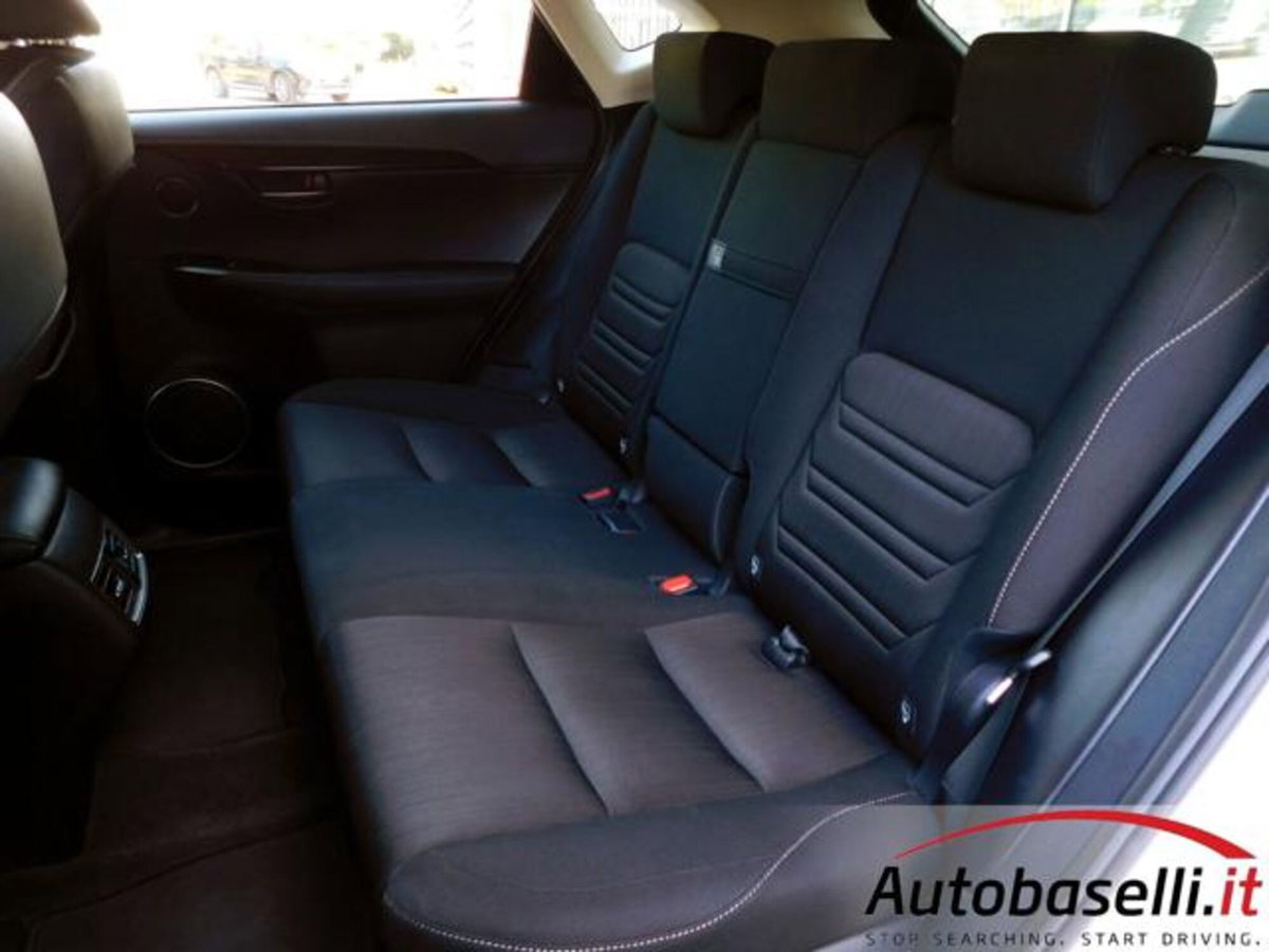 Lexus NX Hybrid 4WD Business (4)