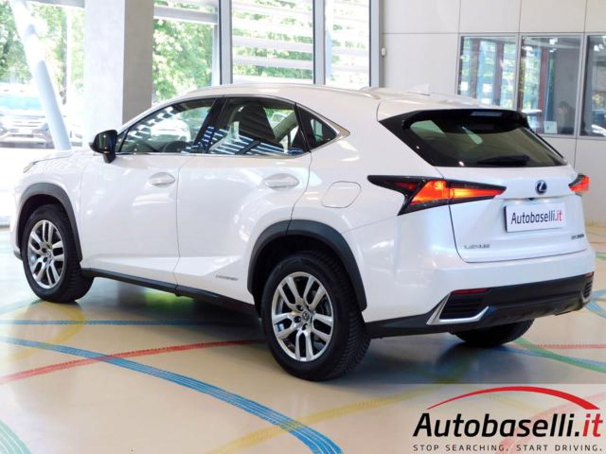Lexus NX Hybrid 4WD Business (5)