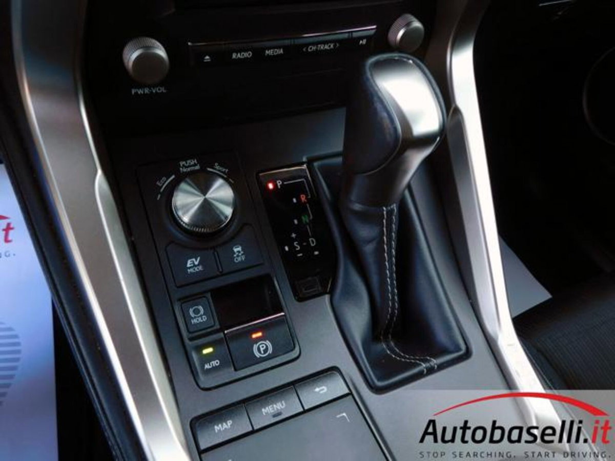 Lexus NX Hybrid 4WD Business (8)