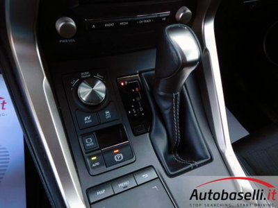Lexus NX Hybrid 4WD Business (8)