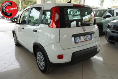 Fiat Panda 1.0 firefly hybrid s&s 70cv 5p.ti (4)