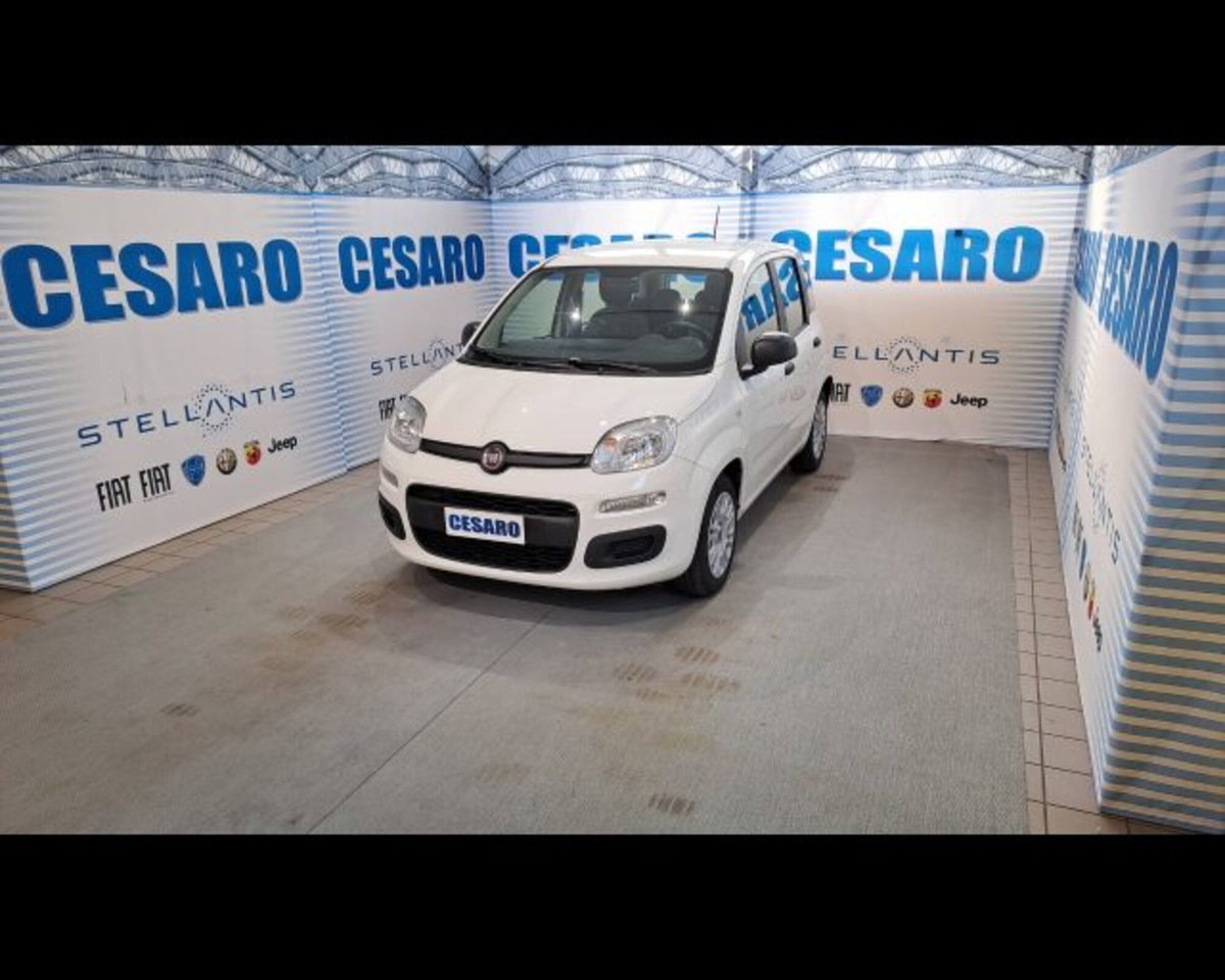Fiat Panda 1.0 firefly hybrid s&s 70cv 5p.ti (2)