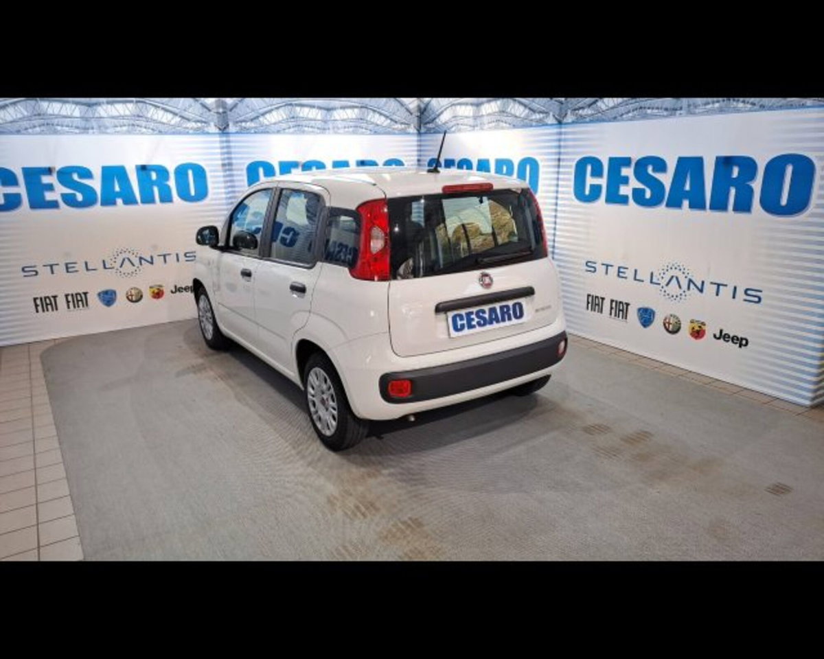 Fiat Panda 1.0 firefly hybrid s&s 70cv 5p.ti (4)