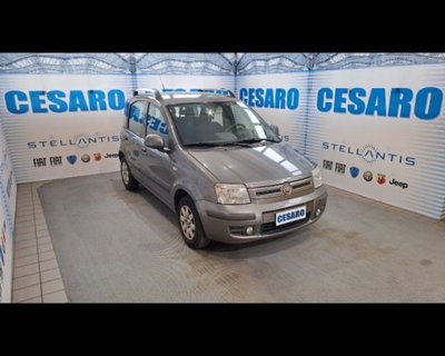 Fiat Panda 1.2 Dynamic Eco usata