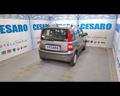 Fiat Panda 1.2 Dynamic Eco (3)