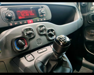 Fiat Panda 1.0 firefly hybrid s&s 70cv 5p.ti (11)