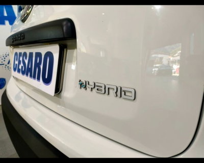 Fiat Panda 1.0 firefly hybrid s&s 70cv 5p.ti (18)