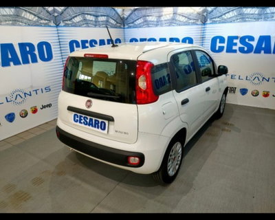 Fiat Panda 1.0 firefly hybrid s&s 70cv 5p.ti (3)