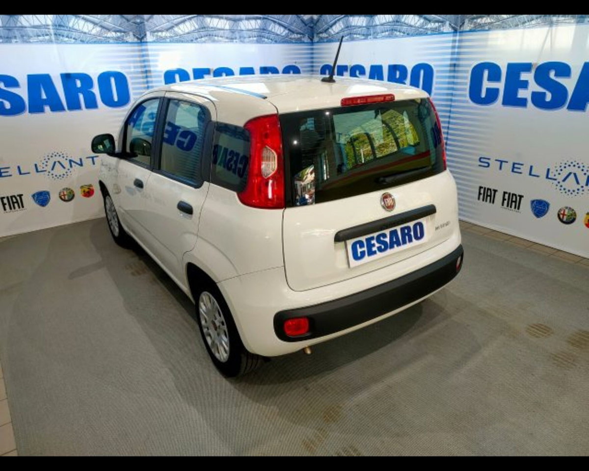 Fiat Panda 1.0 firefly hybrid s&s 70cv 5p.ti (4)