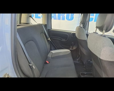 Fiat Panda 1.0 firefly hybrid s&s 70cv 5p.ti (15)