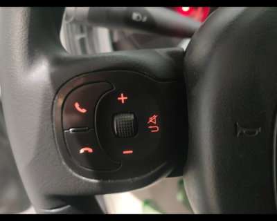 Fiat Panda Cross 1.0 firefly hybrid Cross s&s 70cv 5p.ti (14)