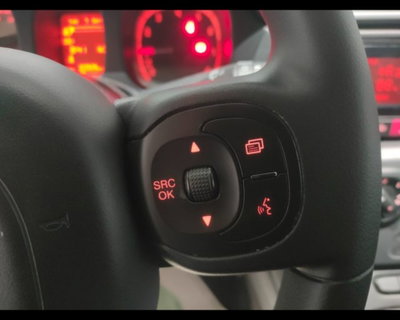 Fiat Panda Cross 1.0 firefly hybrid Cross s&s 70cv 5p.ti (15)