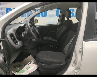 Fiat Panda Cross 1.0 firefly hybrid Cross s&s 70cv 5p.ti (17)
