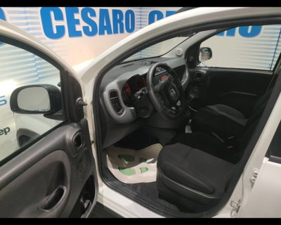 Fiat Panda Cross 1.0 firefly hybrid Cross s&s 70cv 5p.ti (5)
