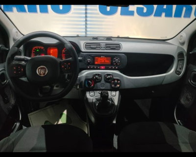 Fiat Panda Cross 1.0 firefly hybrid Cross s&s 70cv 5p.ti (6)