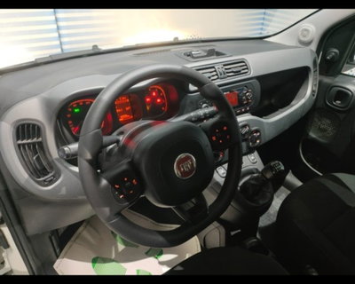 Fiat Panda Cross 1.0 firefly hybrid Cross s&s 70cv 5p.ti (7)