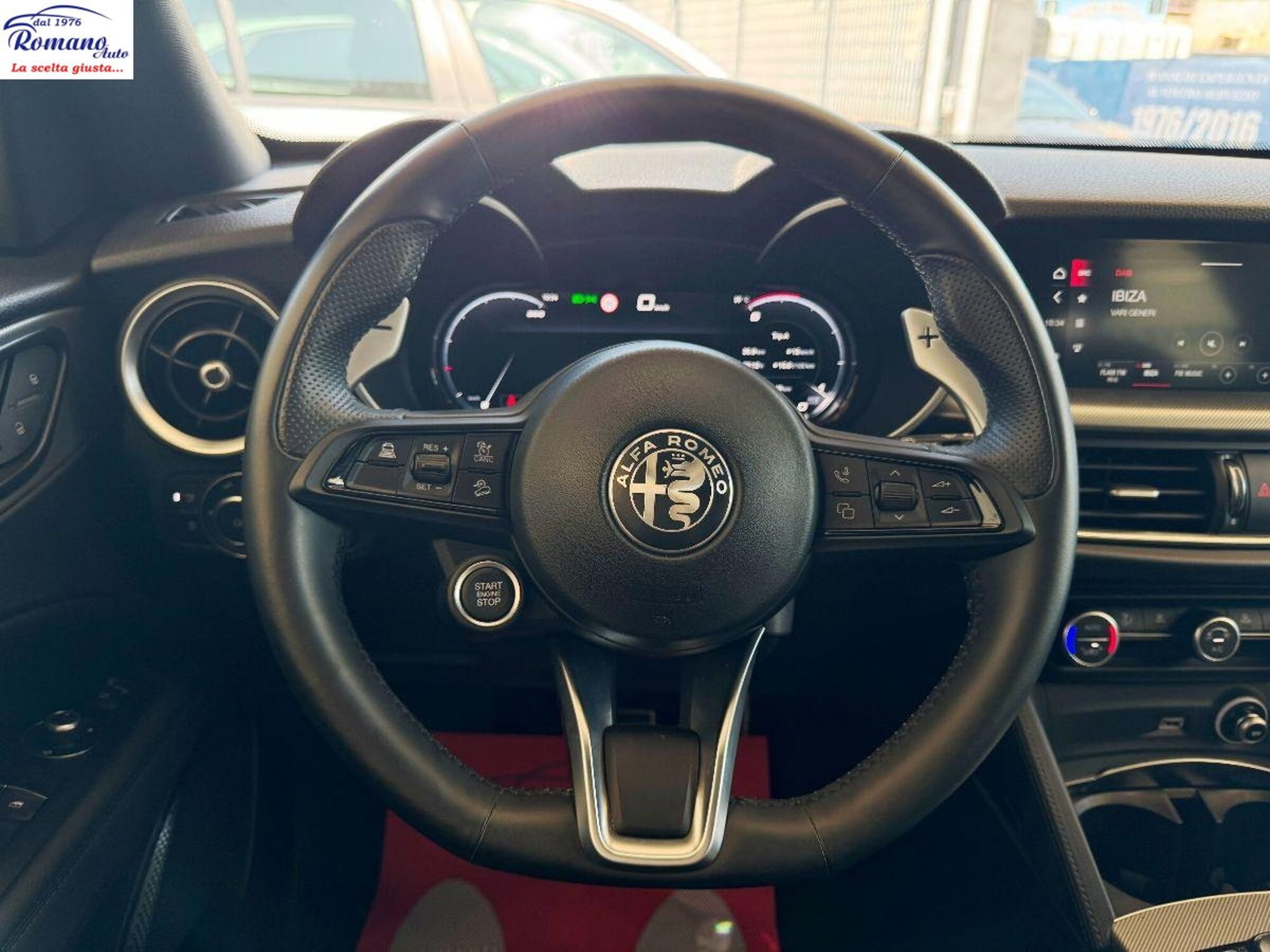 Alfa Romeo Stelvio Stelvio 2.2 Turbodiesel 160 CV AT8 RWD Rosso Edizione (7)
