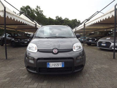 Fiat Panda 1.0 firefly hybrid s&s 70cv usata
