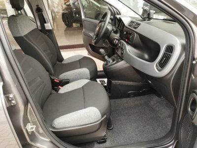 Fiat Panda 1.0 firefly hybrid s&s 70cv 5p.ti (17)