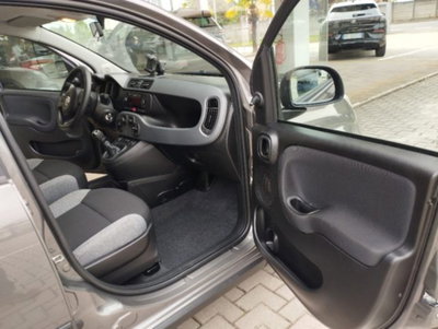 Fiat Panda 1.0 firefly hybrid s&s 70cv 5p.ti (18)
