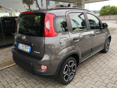 Fiat Panda 1.0 firefly hybrid s&s 70cv 5p.ti (5)